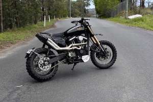 Purpose sportster condition 1 copy
