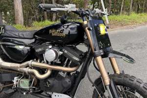 Purpose sportster condition 4 copy