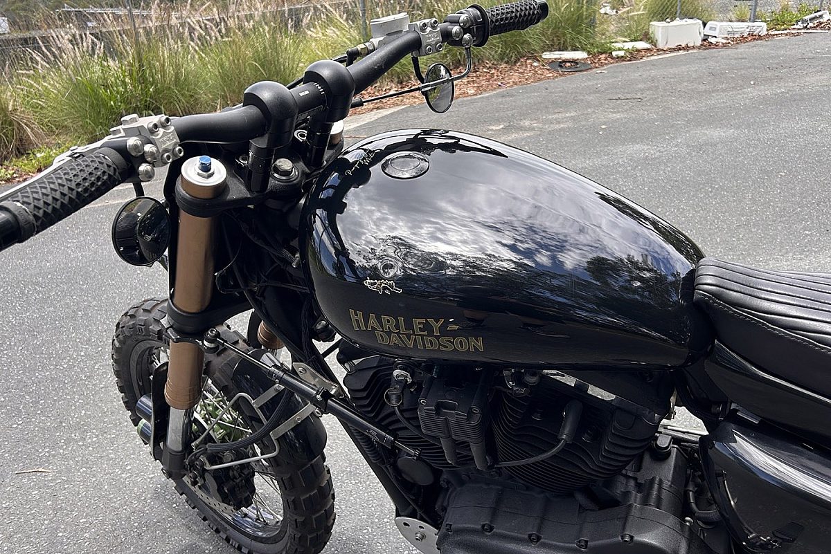 Purpose sportster condition 6 copy